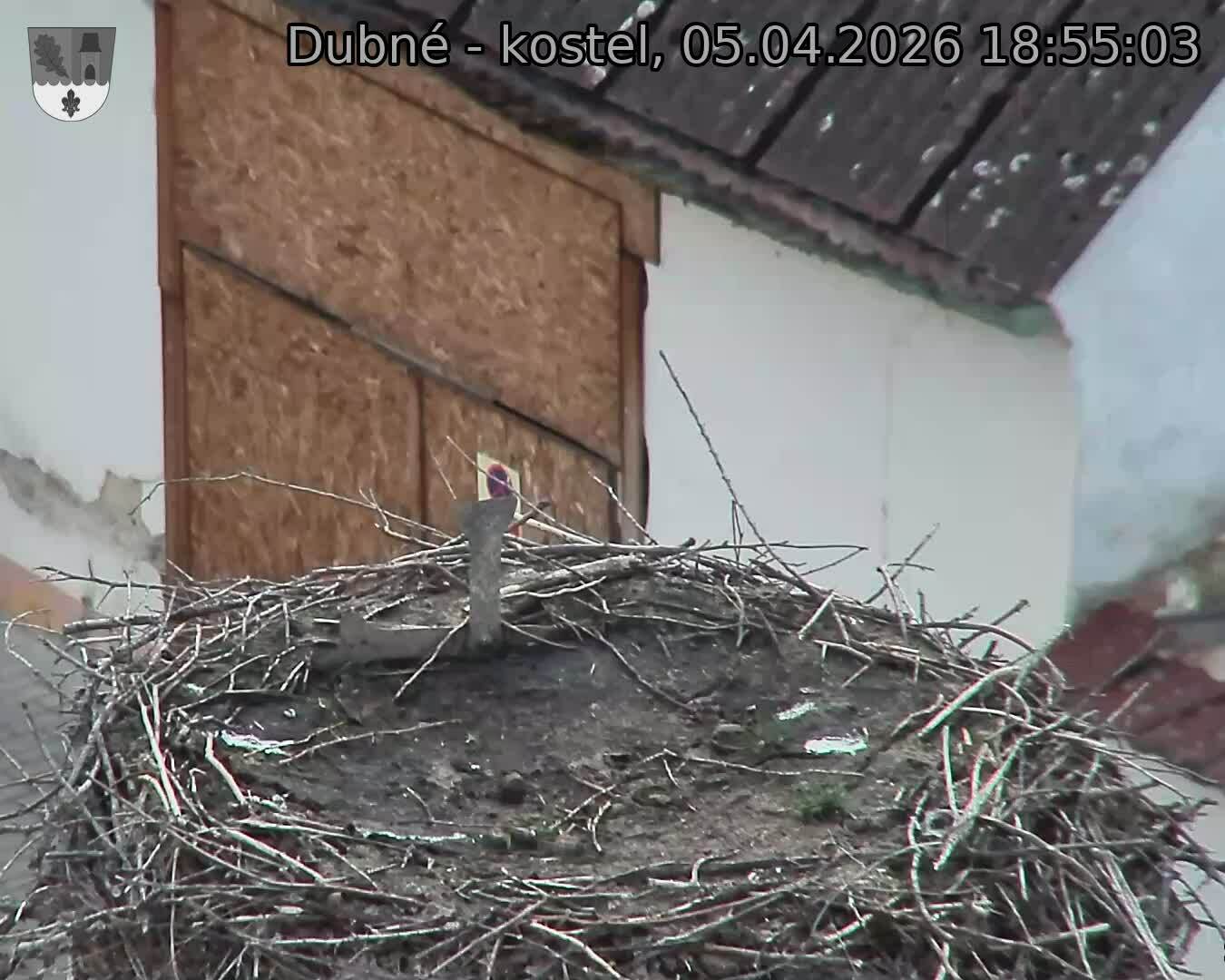 Capi_Dubne_20260405_185503.jpg (1350&nbsp;x&nbsp;1080)