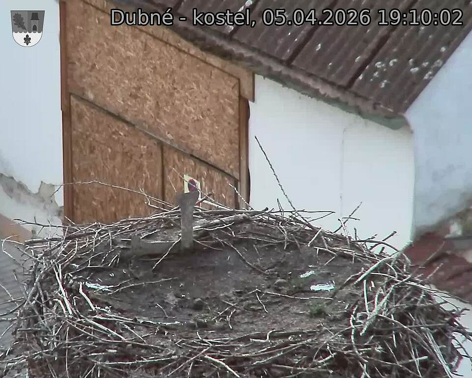 Capi_Dubne_20260405_191002.jpg (1350&nbsp;x&nbsp;1080)