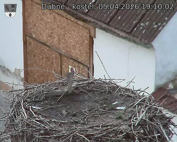 Capi_Dubne_20260405_191002.jpg (1350&nbsp;x&nbsp;1080)