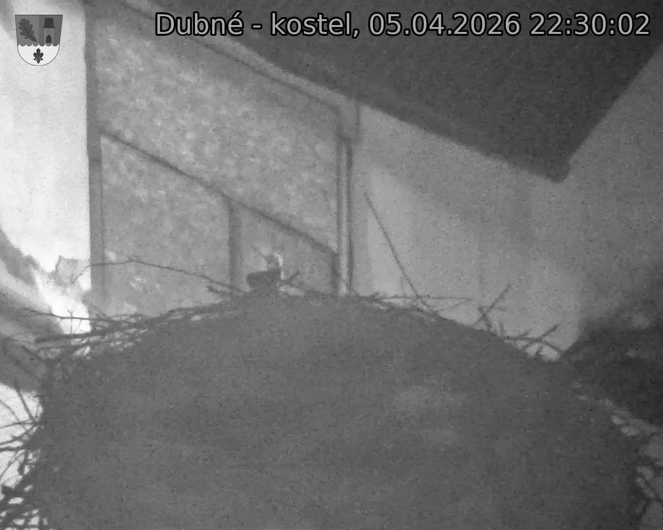 Capi_Dubne_20260405_223002.jpg (1350&nbsp;x&nbsp;1080)