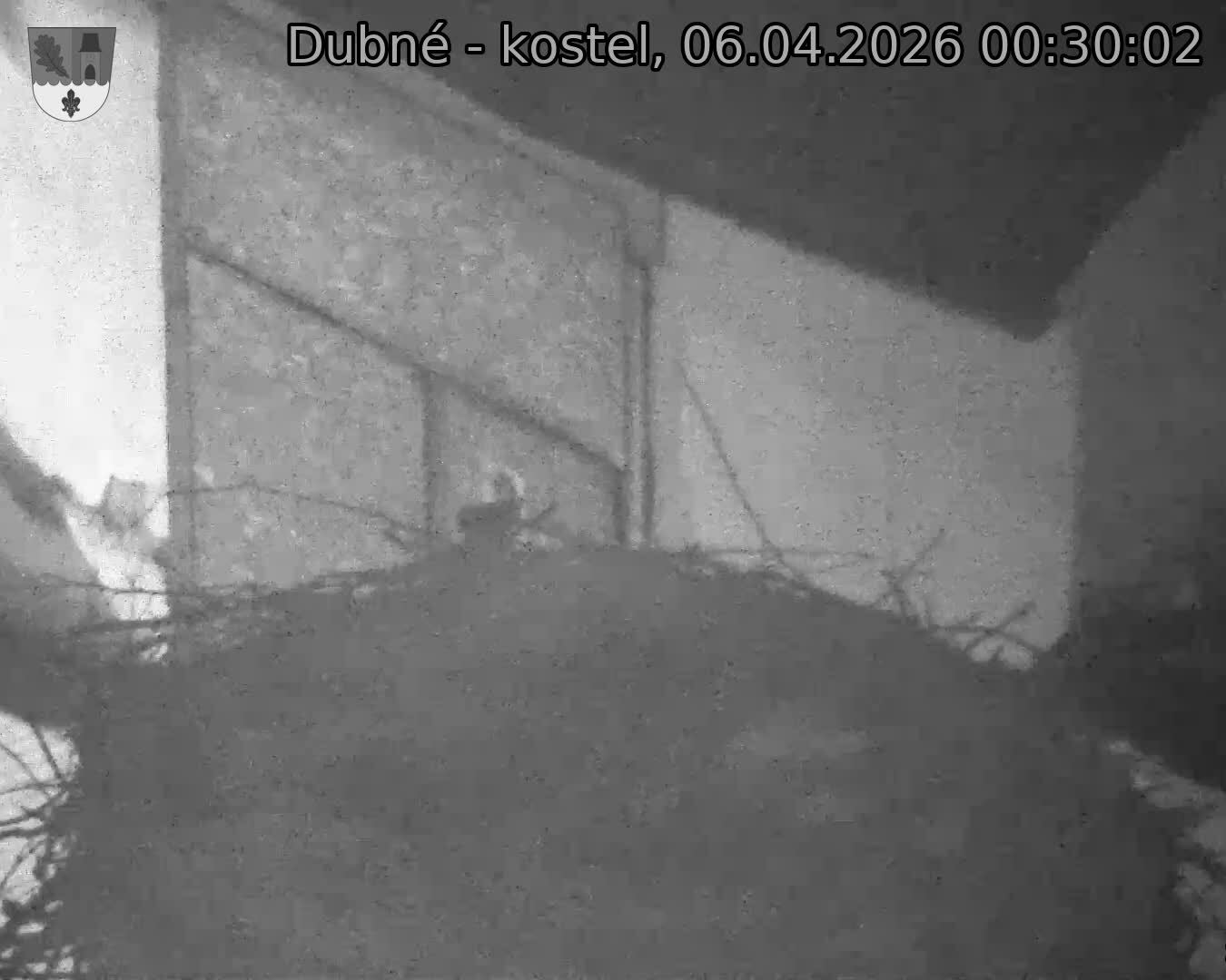 Capi_Dubne_20260406_003002.jpg (1350&nbsp;x&nbsp;1080)