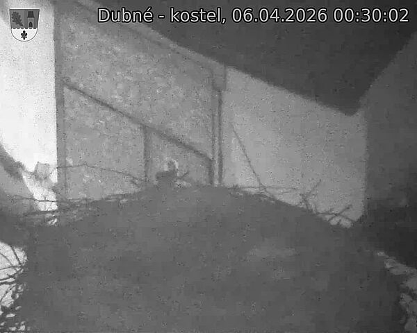 Capi_Dubne_20260406_003002.jpg (1350&nbsp;x&nbsp;1080)