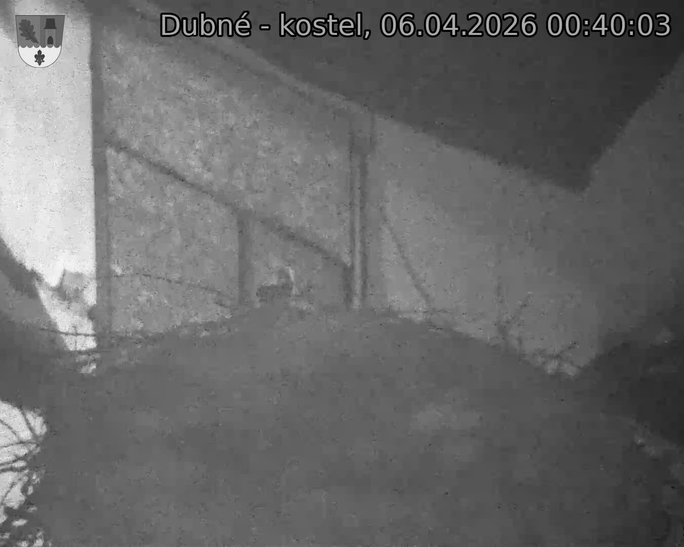 Capi_Dubne_20260406_004003.jpg (1350&nbsp;x&nbsp;1080)