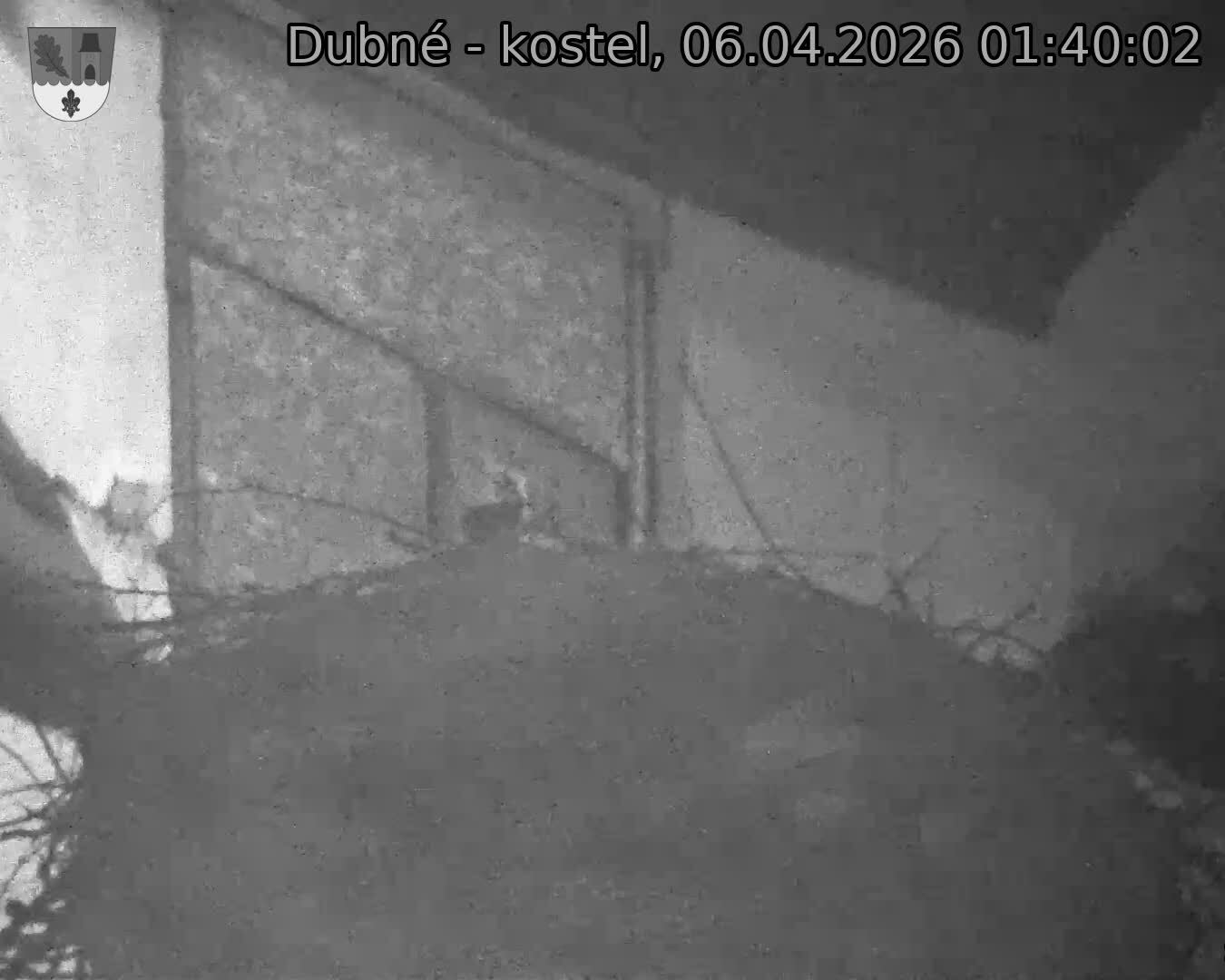 Capi_Dubne_20260406_014002.jpg (1350&nbsp;x&nbsp;1080)
