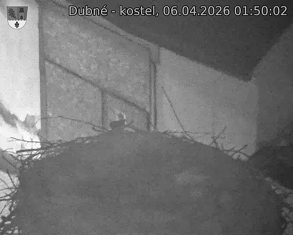Capi_Dubne_20260406_015002.jpg (1350&nbsp;x&nbsp;1080)