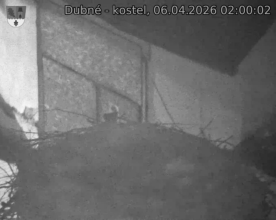 Capi_Dubne_20260406_020002.jpg (1350&nbsp;x&nbsp;1080)