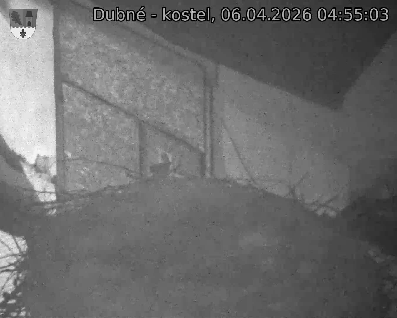 Capi_Dubne_20260406_045503.jpg (1350&nbsp;x&nbsp;1080)