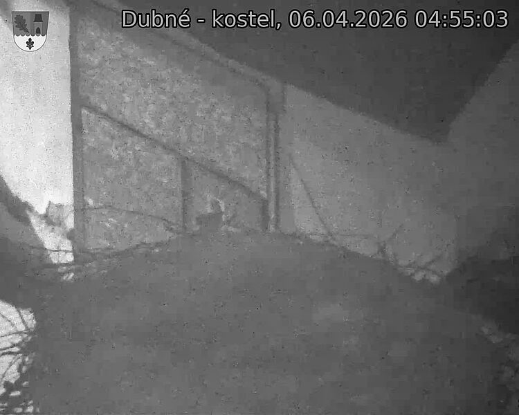 Capi_Dubne_20260406_045503.jpg (1350&nbsp;x&nbsp;1080)