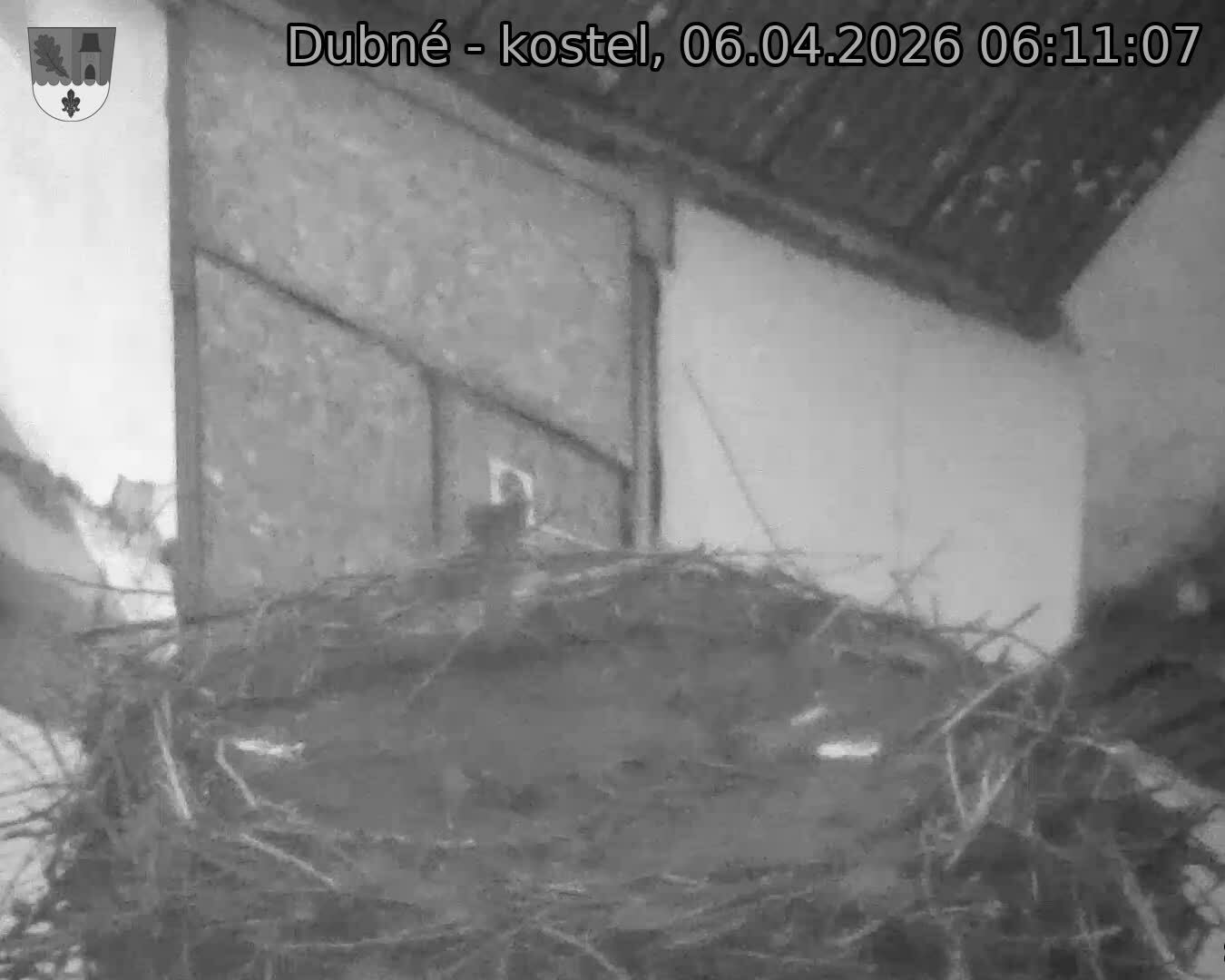 Capi_Dubne_20260406_061107.jpg (1350&nbsp;x&nbsp;1080)