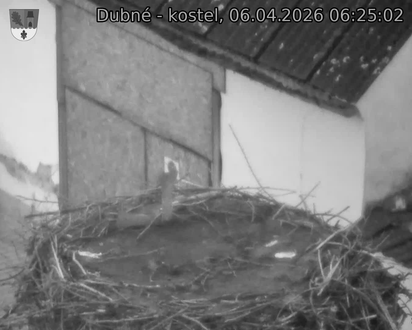 Capi_Dubne_20260406_062502.jpg (1350&nbsp;x&nbsp;1080)