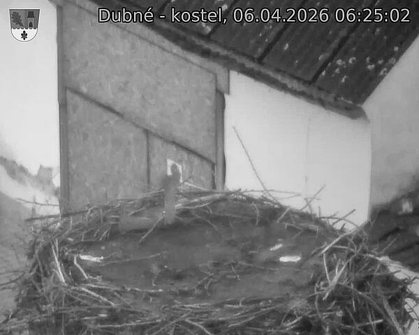 Capi_Dubne_20260406_062502.jpg (1350&nbsp;x&nbsp;1080)