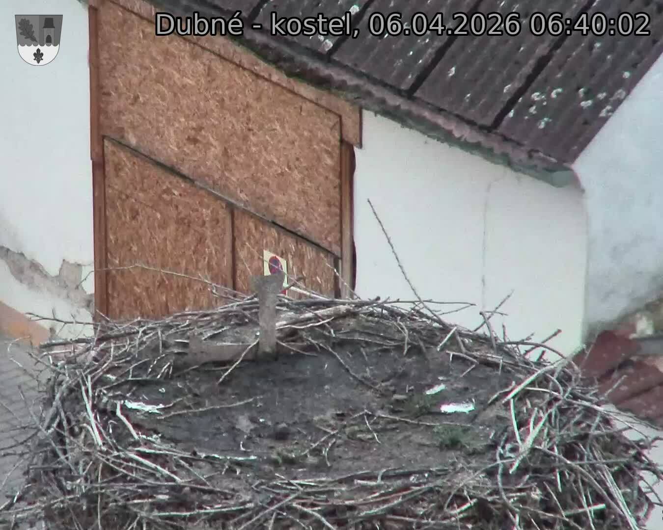 Capi_Dubne_20260406_064002.jpg (1350&nbsp;x&nbsp;1080)