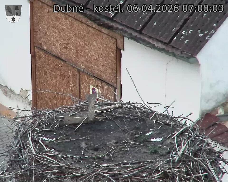 Capi_Dubne_20260406_070003.jpg (1350&nbsp;x&nbsp;1080)