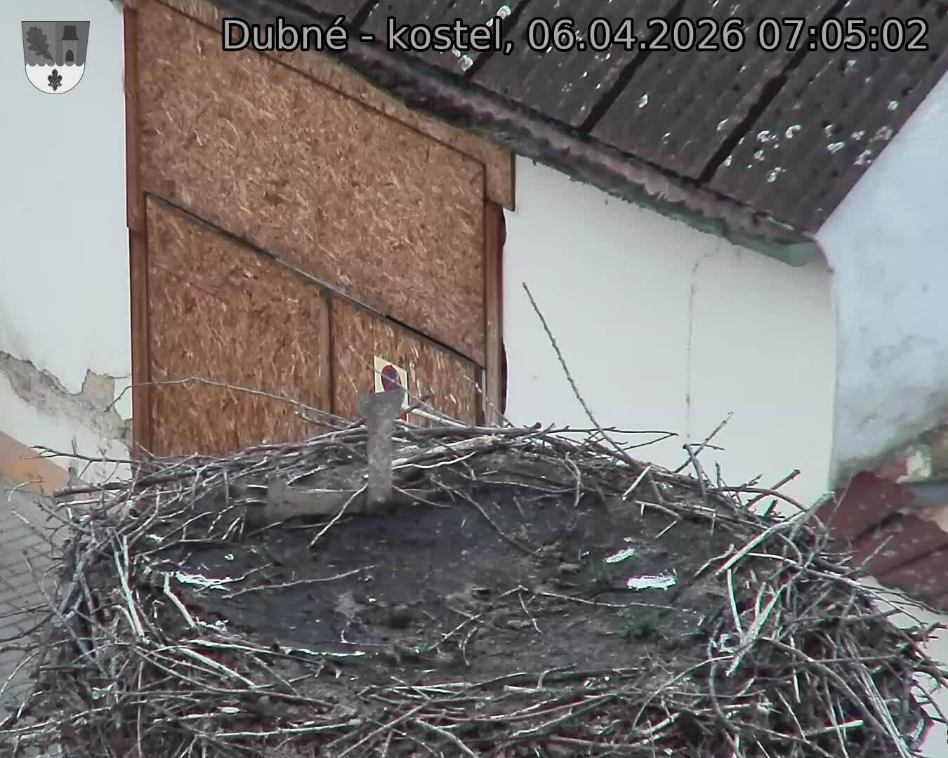 Capi_Dubne_20260406_070502.jpg (1350&nbsp;x&nbsp;1080)
