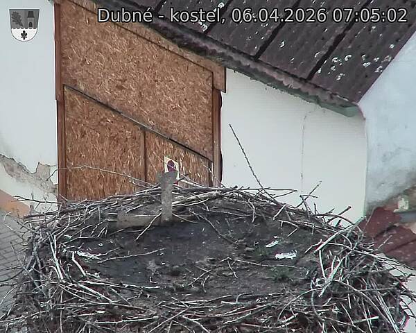 Capi_Dubne_20260406_070502.jpg (1350&nbsp;x&nbsp;1080)