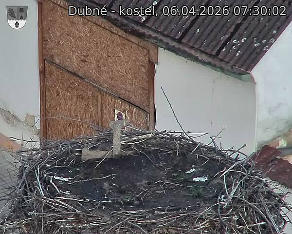 Capi_Dubne_20260406_073002.jpg (1350&nbsp;x&nbsp;1080)