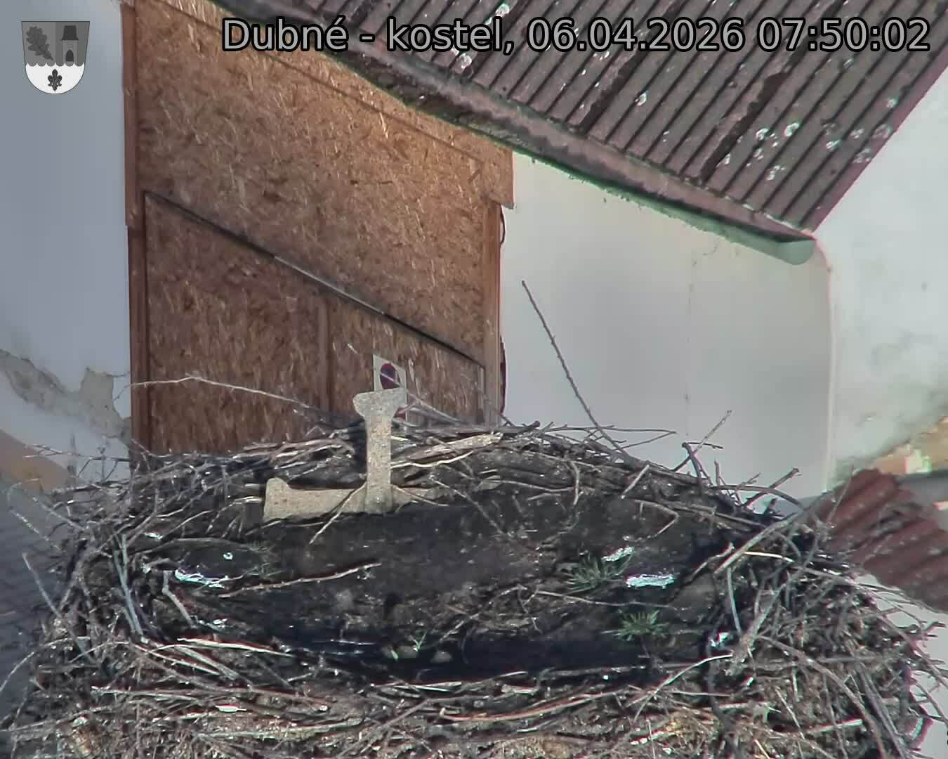 Capi_Dubne_20260406_075002.jpg (1350&nbsp;x&nbsp;1080)