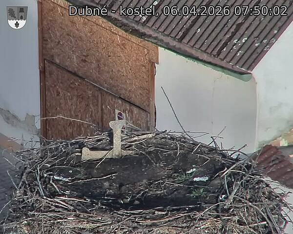 Capi_Dubne_20260406_075002.jpg (1350&nbsp;x&nbsp;1080)