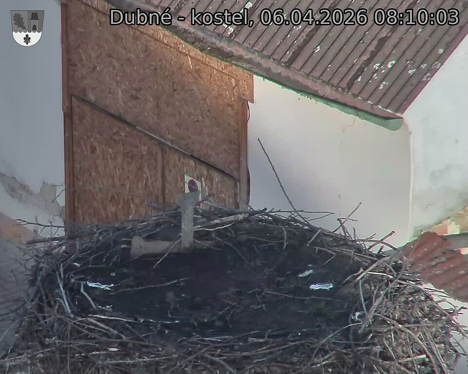 Capi_Dubne_20260406_081003.jpg (1350&nbsp;x&nbsp;1080)