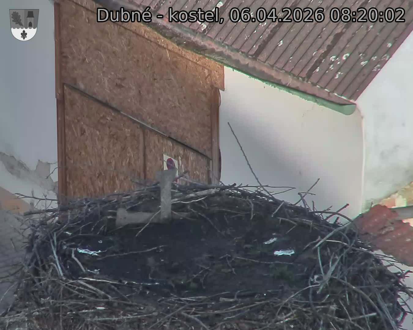 Capi_Dubne_20260406_082002.jpg (1350&nbsp;x&nbsp;1080)