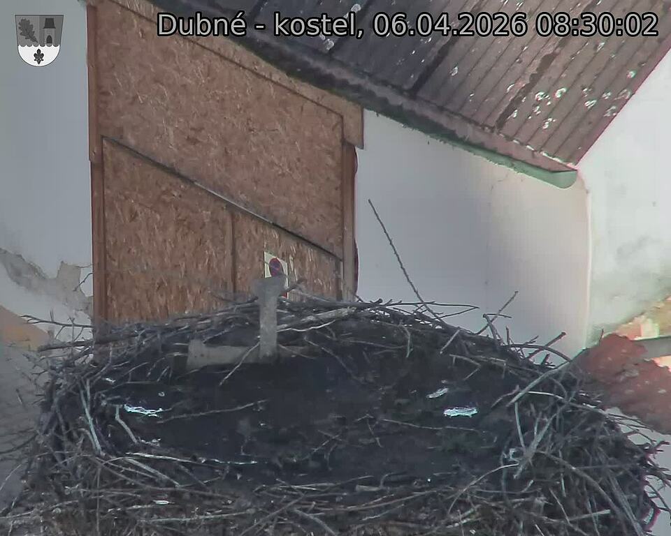 Capi_Dubne_20260406_083002.jpg (1350&nbsp;x&nbsp;1080)