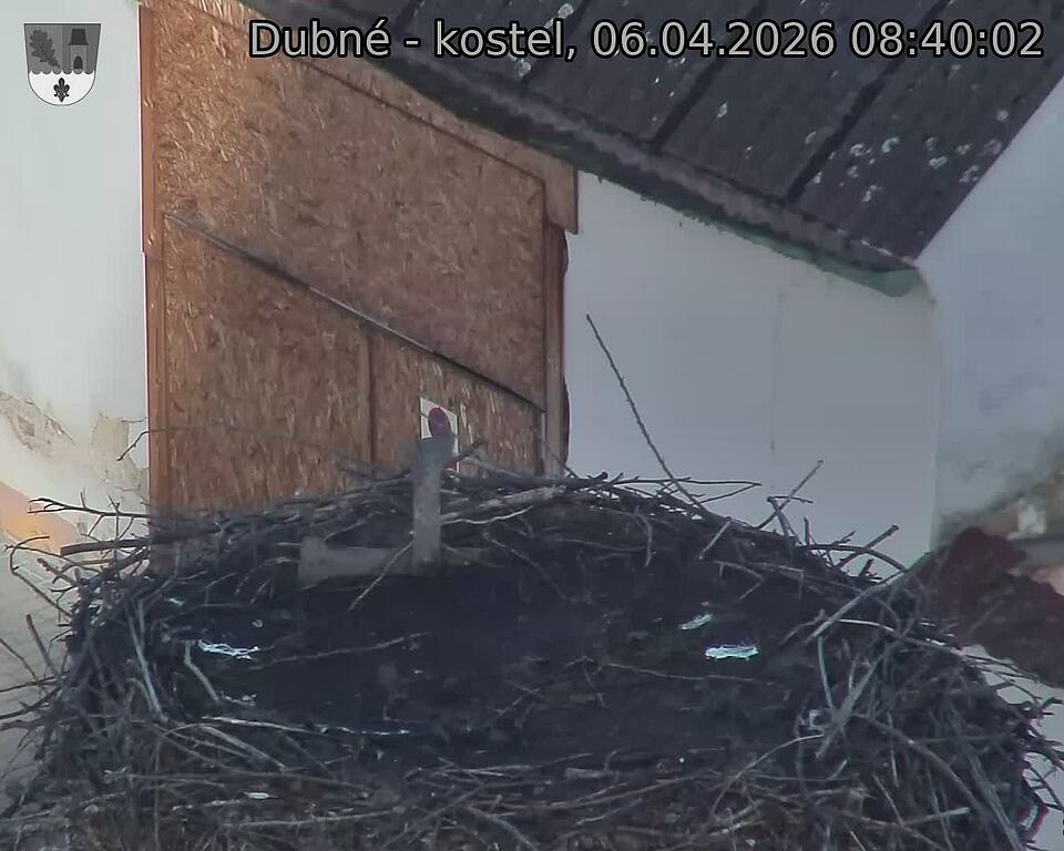 Capi_Dubne_20260406_084002.jpg (1350&nbsp;x&nbsp;1080)
