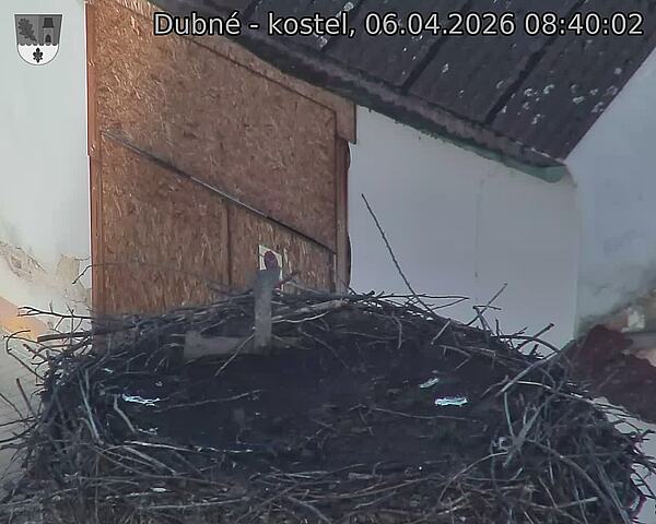 Capi_Dubne_20260406_084002.jpg (1350&nbsp;x&nbsp;1080)
