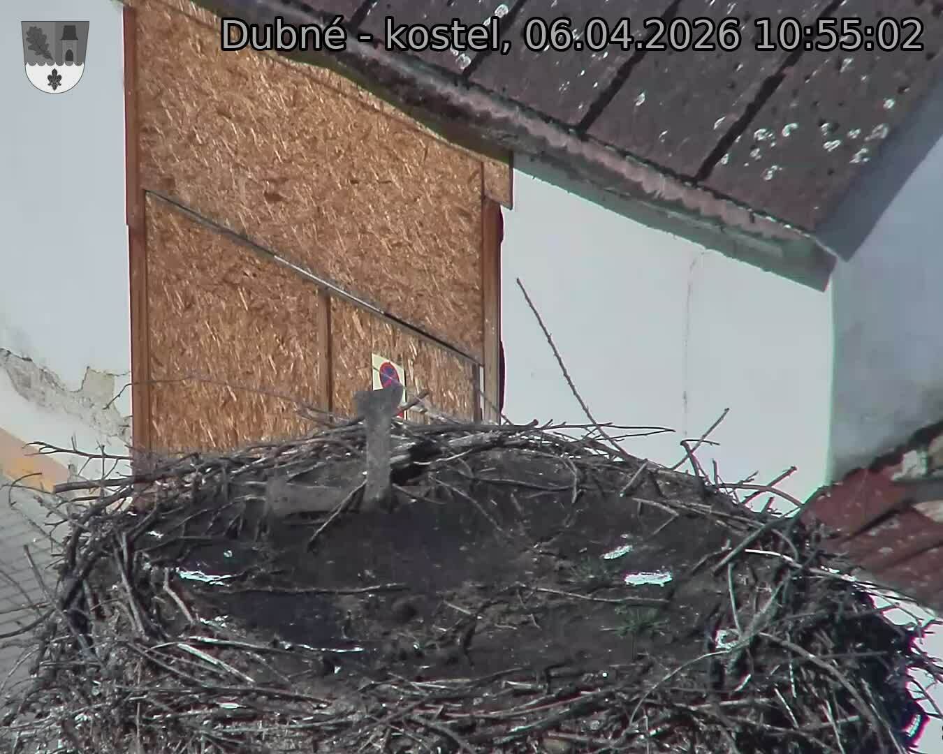 Capi_Dubne_20260406_105502.jpg (1350&nbsp;x&nbsp;1080)