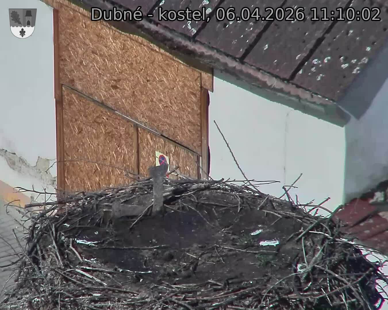 Capi_Dubne_20260406_111002.jpg (1350&nbsp;x&nbsp;1080)