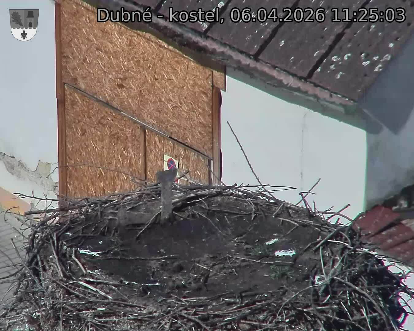 Capi_Dubne_20260406_112503.jpg (1350&nbsp;x&nbsp;1080)