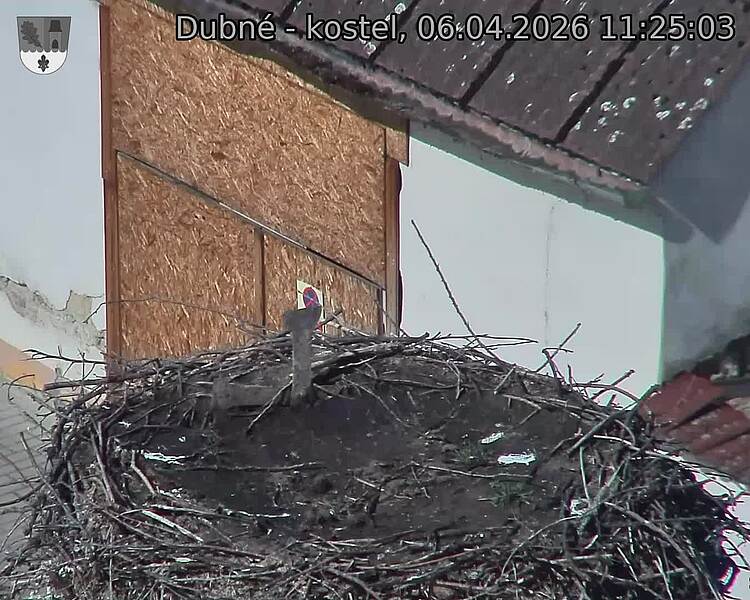 Capi_Dubne_20260406_112503.jpg (1350&nbsp;x&nbsp;1080)