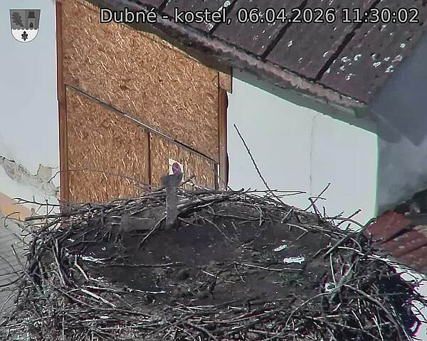 Capi_Dubne_20260406_113002.jpg (1350&nbsp;x&nbsp;1080)