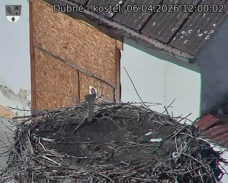 Capi_Dubne_20260406_120002.jpg (1350&nbsp;x&nbsp;1080)