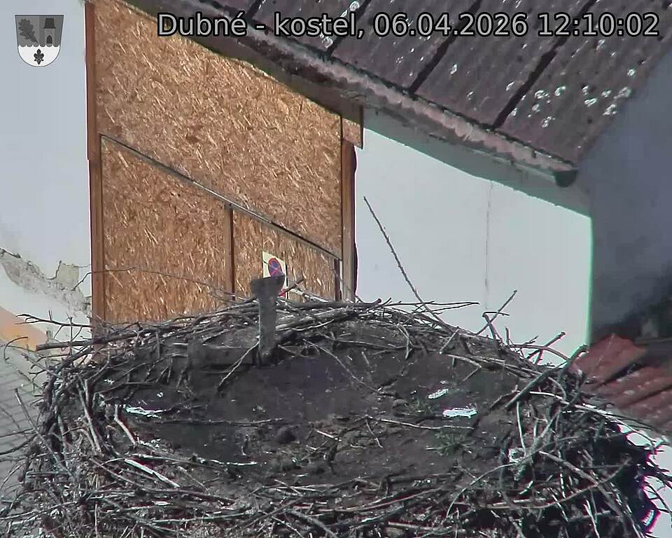 Capi_Dubne_20260406_121003.jpg (1350&nbsp;x&nbsp;1080)