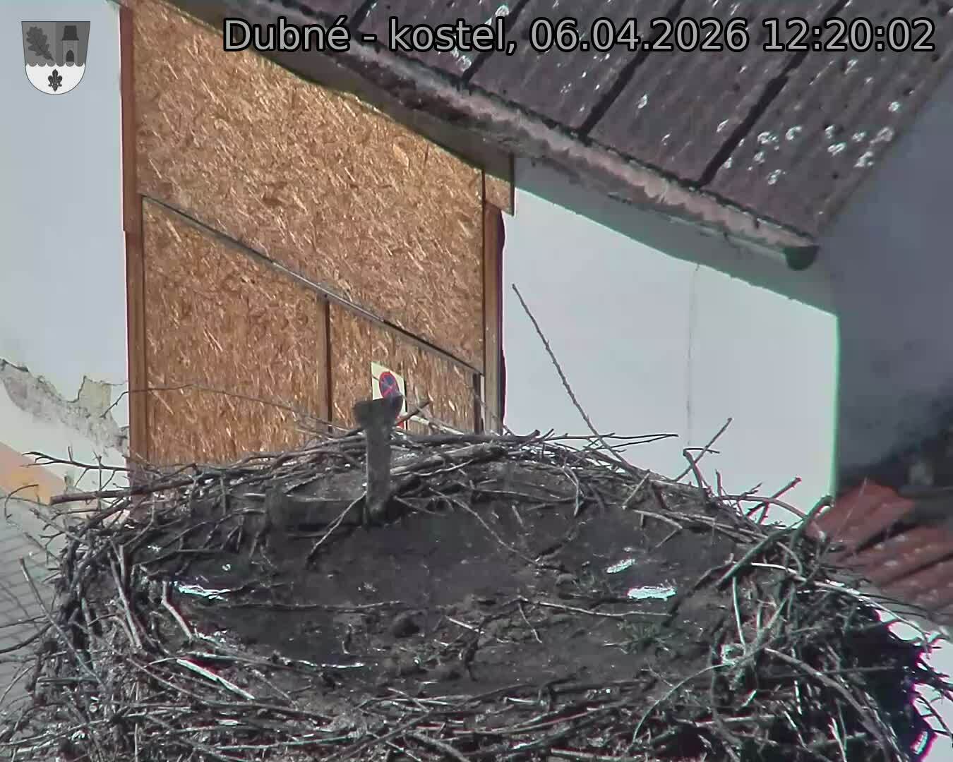 Capi_Dubne_20260406_122002.jpg (1350&nbsp;x&nbsp;1080)