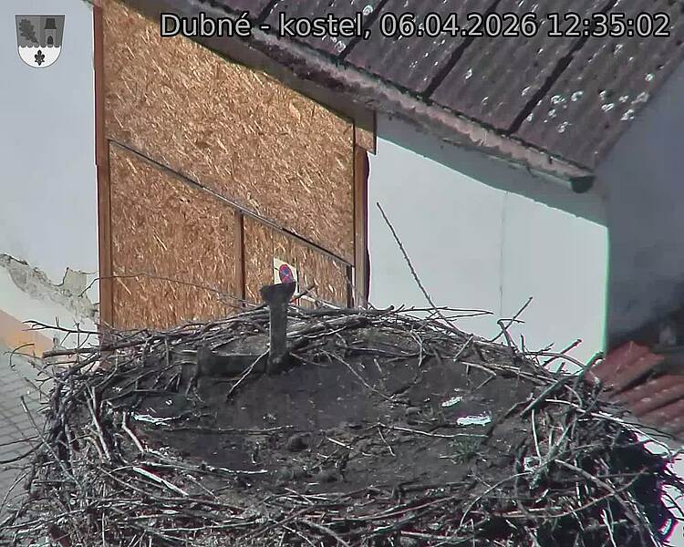 Capi_Dubne_20260406_123502.jpg (1350&nbsp;x&nbsp;1080)