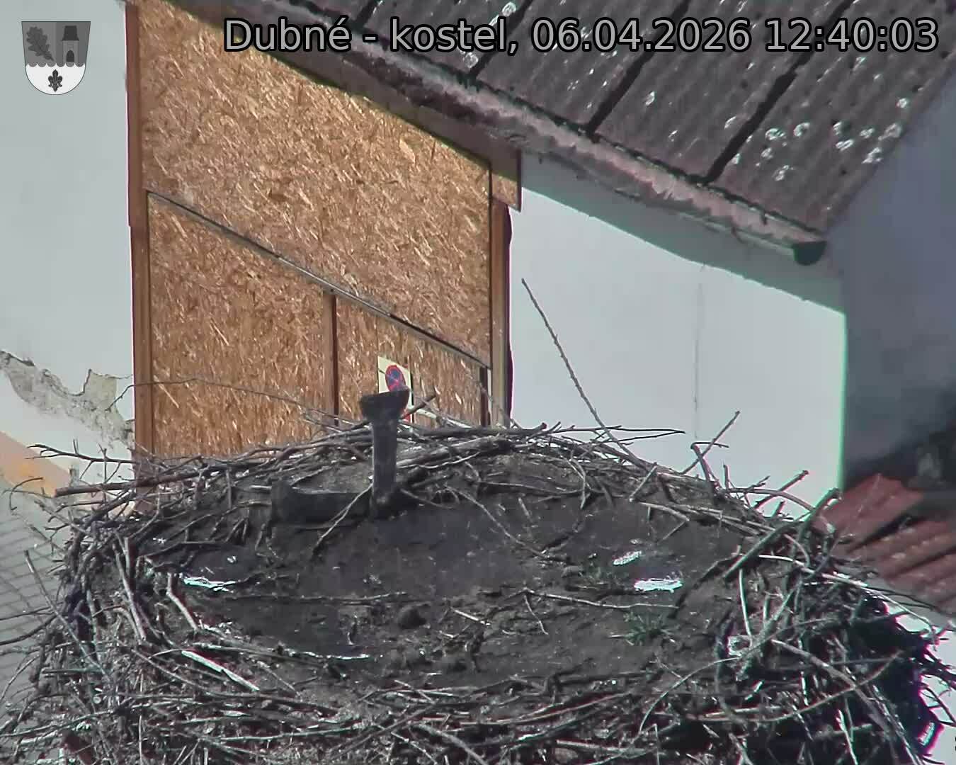 Capi_Dubne_20260406_124003.jpg (1350&nbsp;x&nbsp;1080)