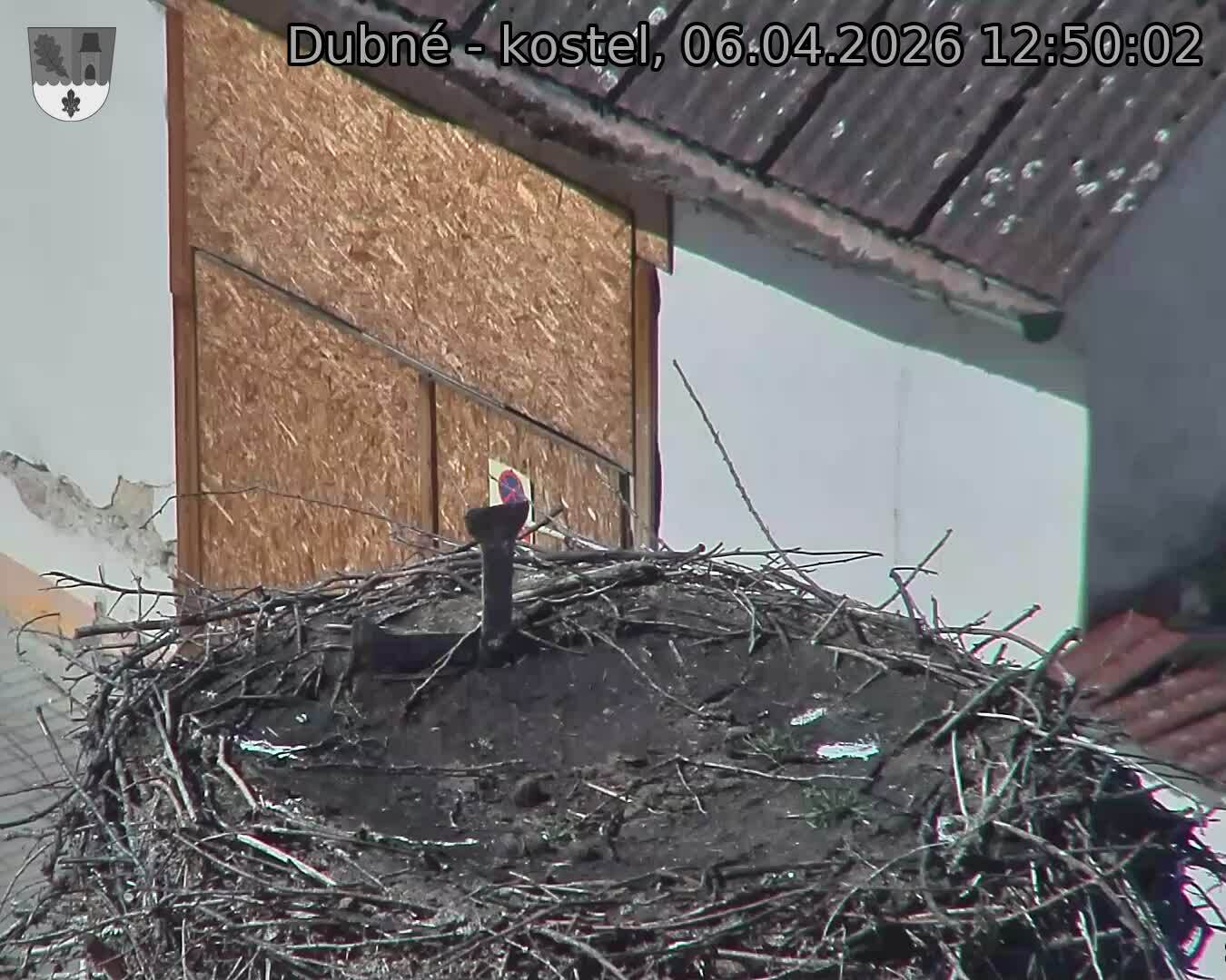 Capi_Dubne_20260406_125002.jpg (1350&nbsp;x&nbsp;1080)