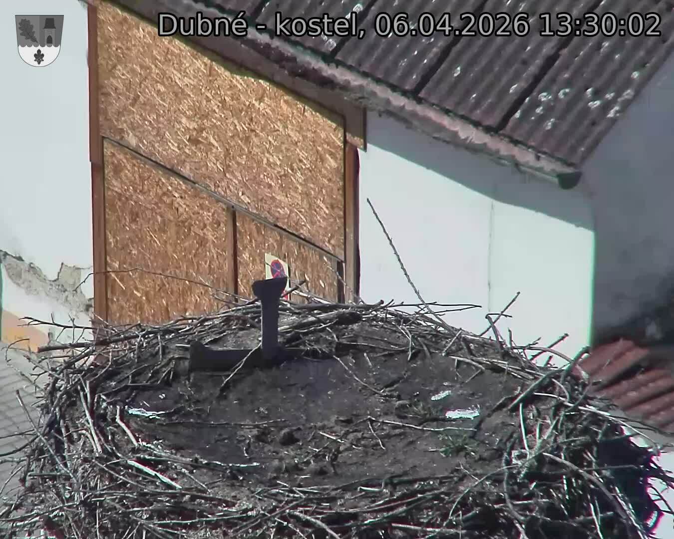 Capi_Dubne_20260406_133002.jpg (1350&nbsp;x&nbsp;1080)
