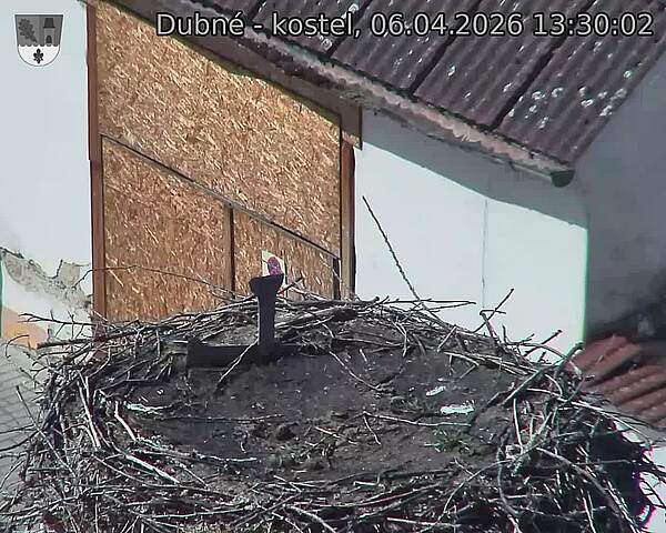 Capi_Dubne_20260406_133002.jpg (1350&nbsp;x&nbsp;1080)