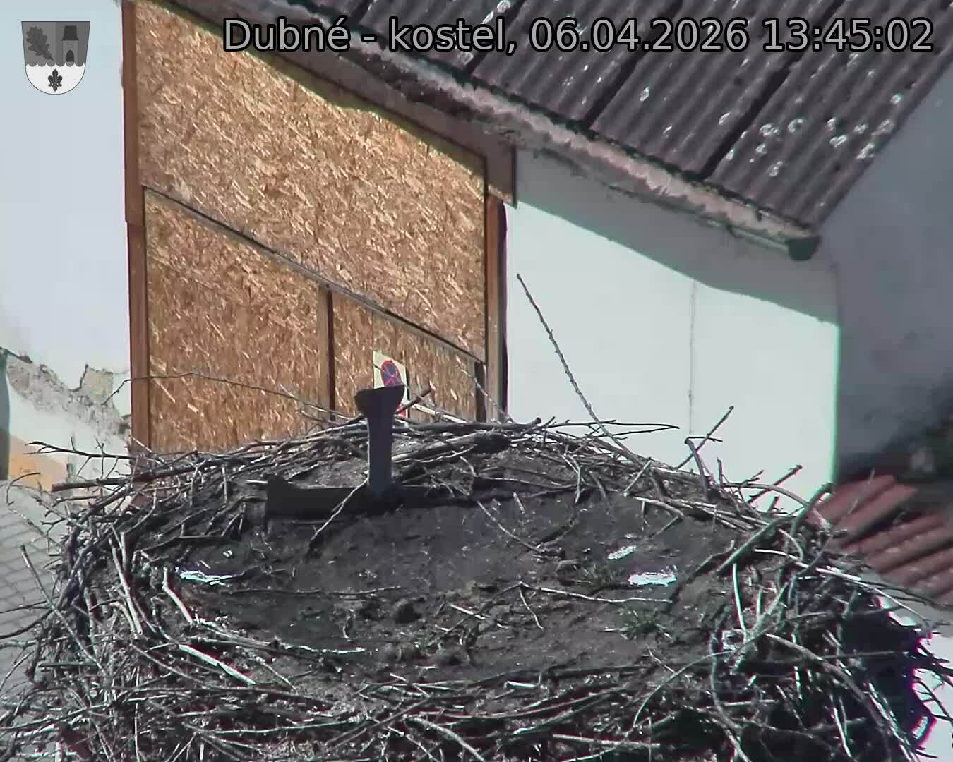 Capi_Dubne_20260406_134502.jpg (1350&nbsp;x&nbsp;1080)