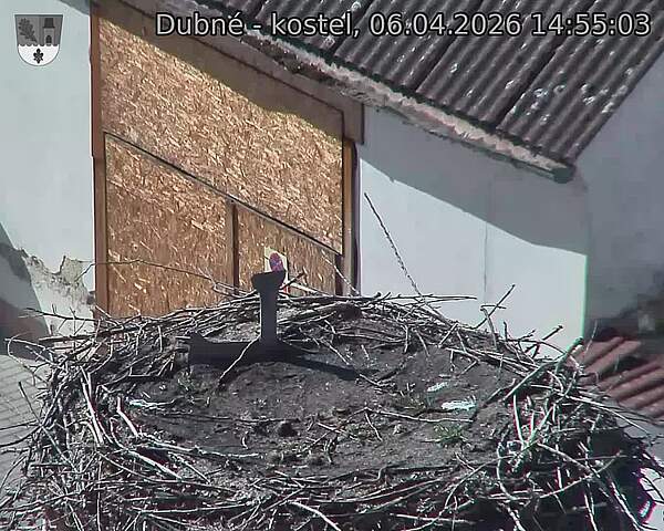 Capi_Dubne_20260406_145503.jpg (1350&nbsp;x&nbsp;1080)