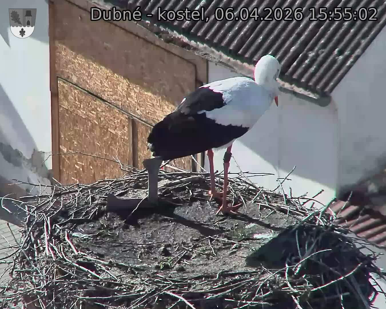 Capi_Dubne_20260406_155502.jpg (1350&nbsp;x&nbsp;1080)