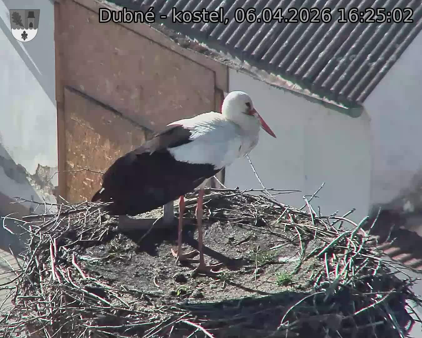 Capi_Dubne_20260406_162502.jpg (1350&nbsp;x&nbsp;1080)