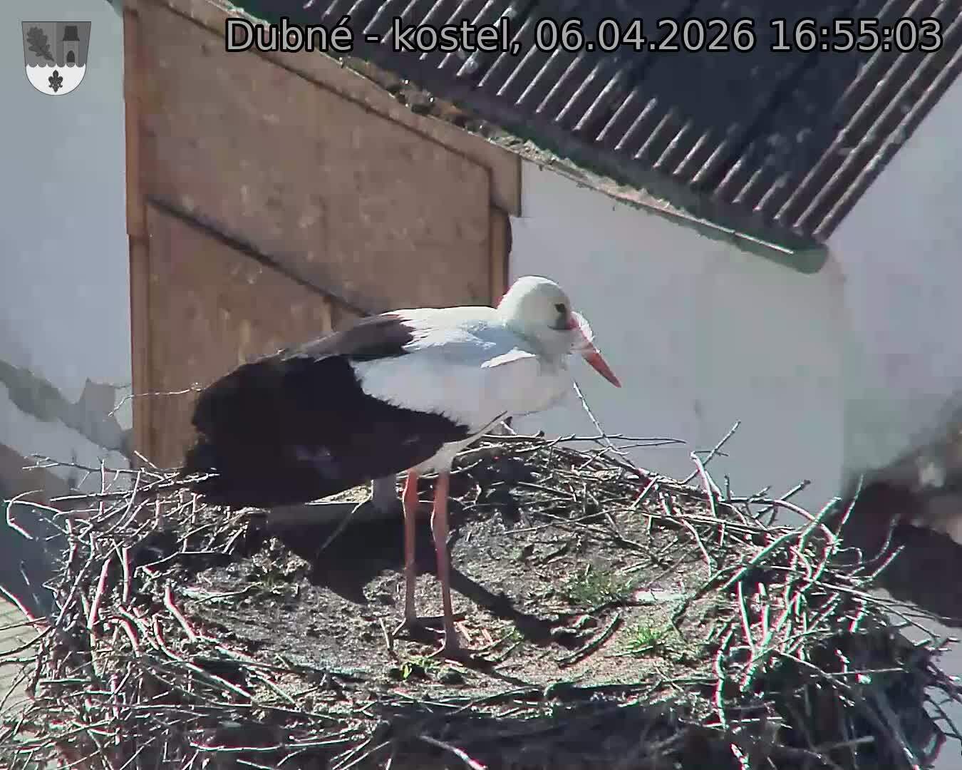 Capi_Dubne_20260406_165503.jpg (1350&nbsp;x&nbsp;1080)