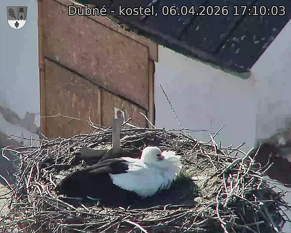 Capi_Dubne_20260406_171003.jpg (1350&nbsp;x&nbsp;1080)