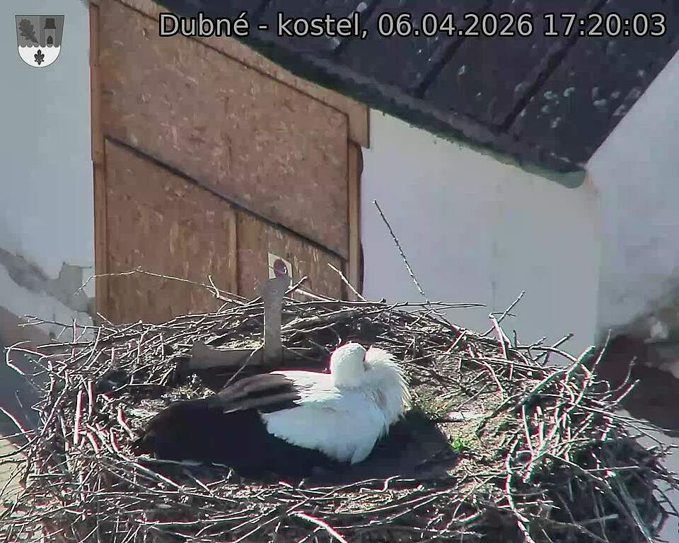 Capi_Dubne_20260406_172003.jpg (1350&nbsp;x&nbsp;1080)