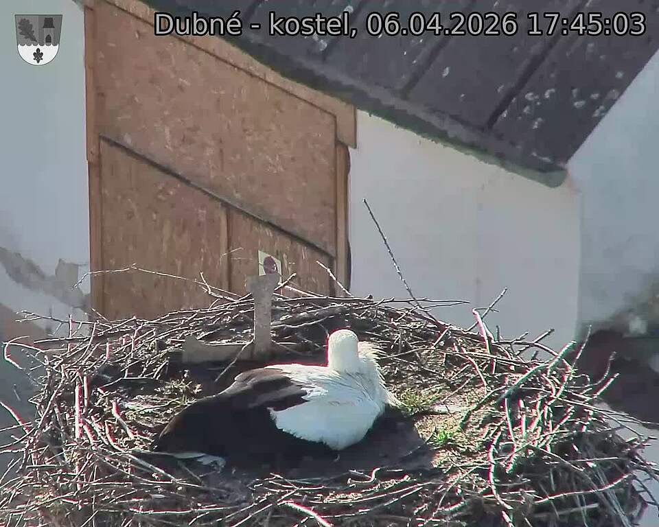 Capi_Dubne_20260406_174503.jpg (1350&nbsp;x&nbsp;1080)