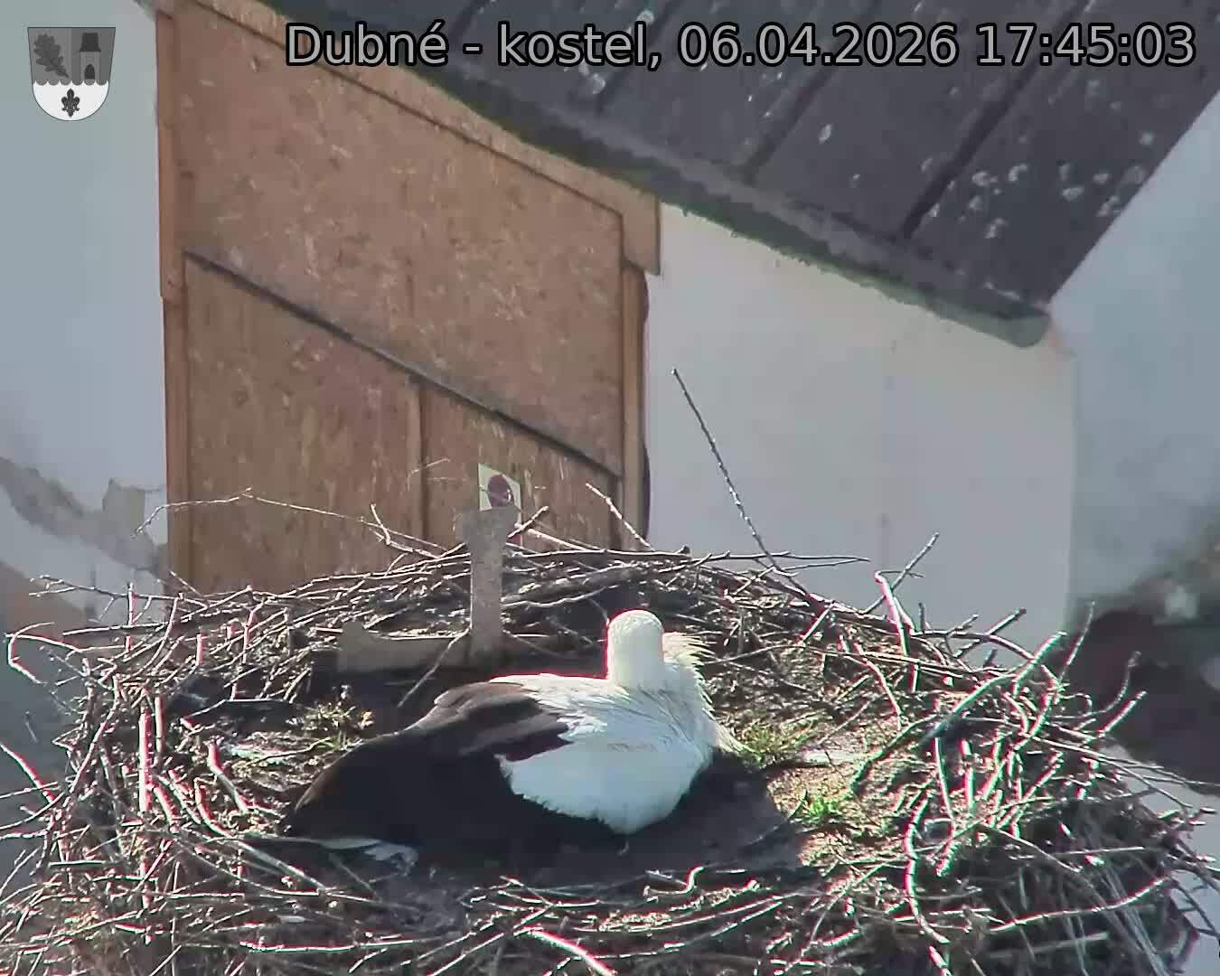 Capi_Dubne_20260406_174503.jpg (1350&nbsp;x&nbsp;1080)