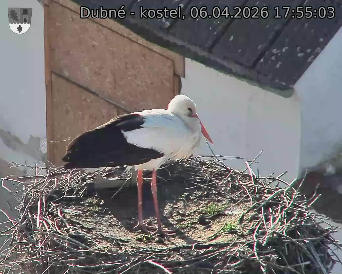 Capi_Dubne_20260406_175503.jpg (1350&nbsp;x&nbsp;1080)